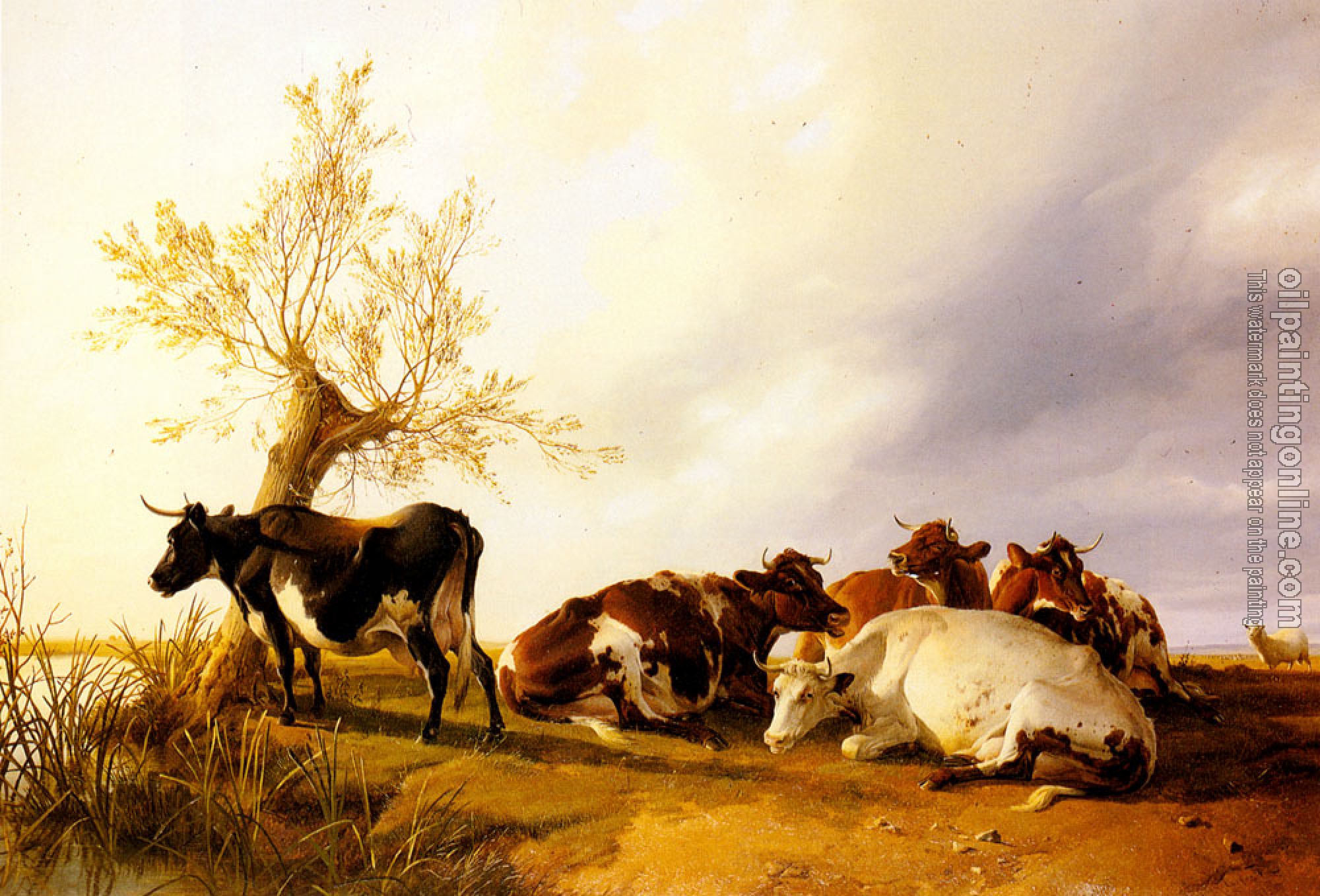Thomas Sidney Cooper - Dairy Cows Resting